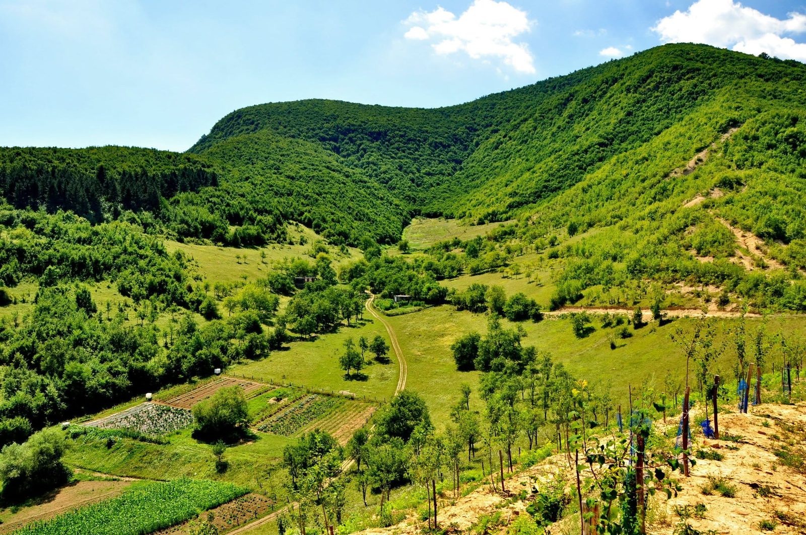 Green Balkan hills and farmland stretching toward the mountains